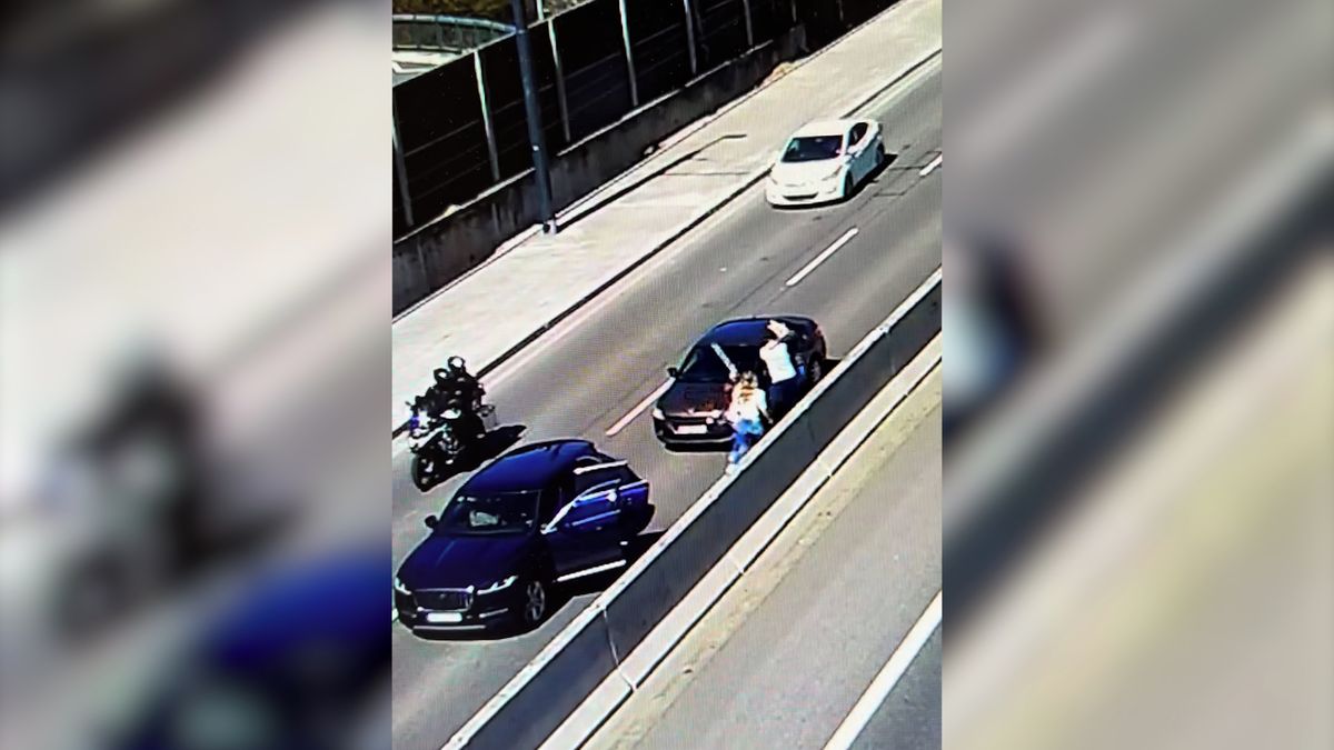 Ostrá rvačka na silnici u bratislavské zoo: policie zveřejnila video a hledá svědky